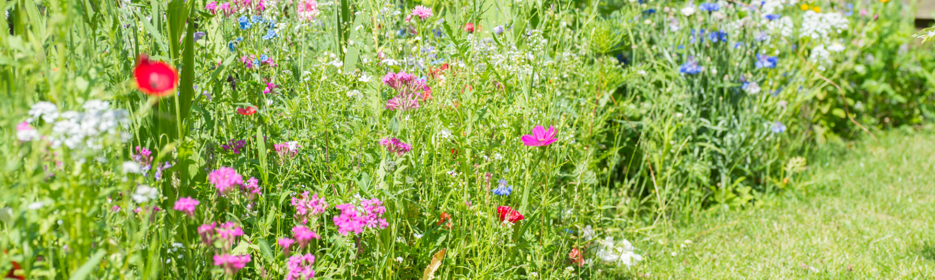 Slow Gardening
