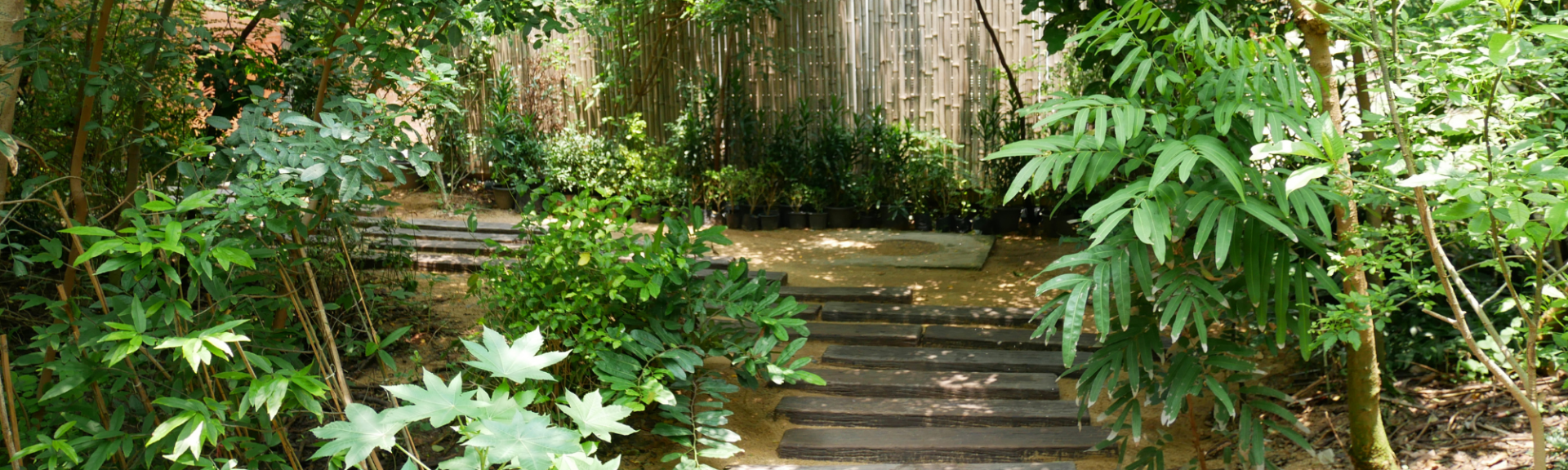 5 idées de design pour structurer votre jardin