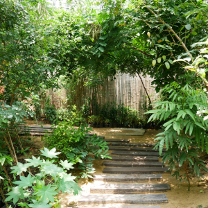 5 idées de design pour structurer votre jardin