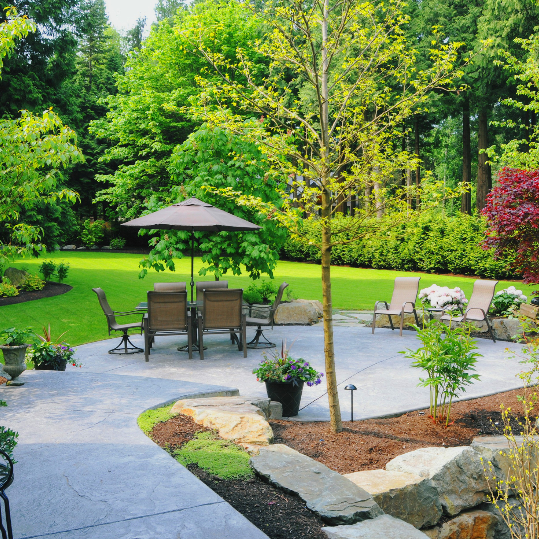 Design pour un jardin exposé sud