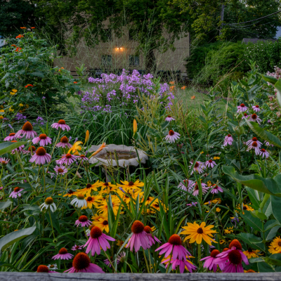 Design pour un jardin tout en longueur