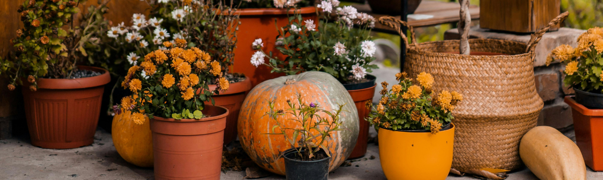 Bannière automnale avec pots & courges