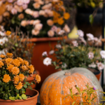 Jardinière automnales mélanger feuillage et fleurs pour un effet wow