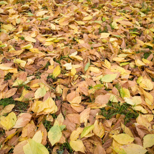 Les gestes à éviter