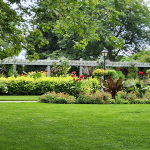 Bannissez les insecticides