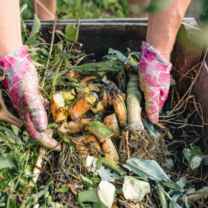 Comment obtient-on un bon compost ?