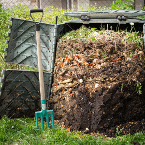Que trouve-t-on dans le compost