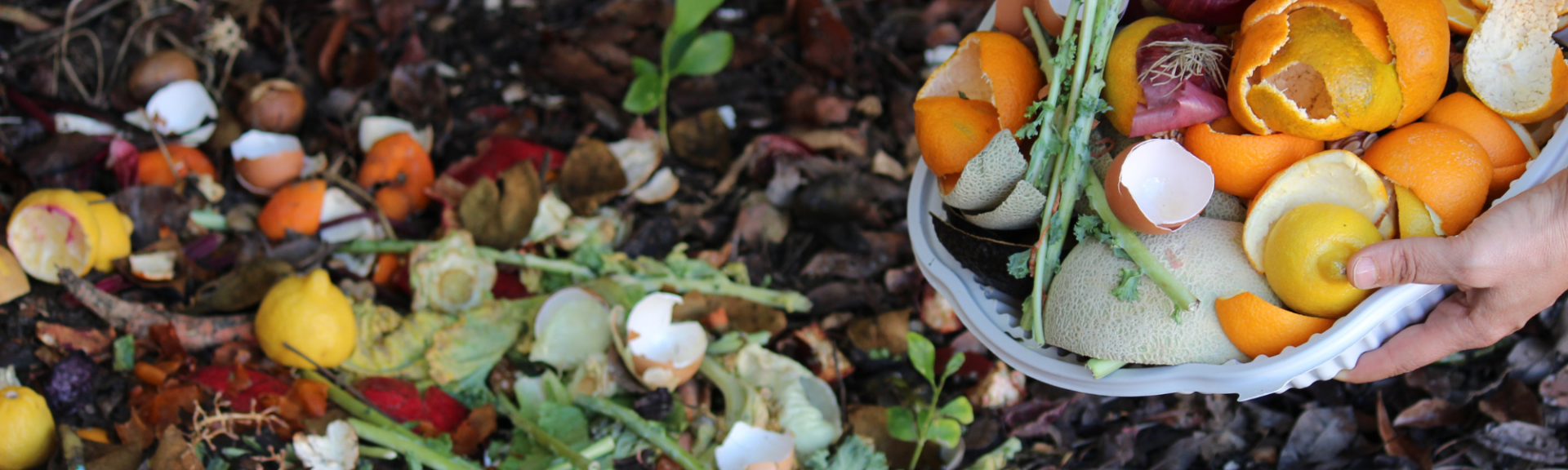 Tout ce qu'il faut savoir sur le compost