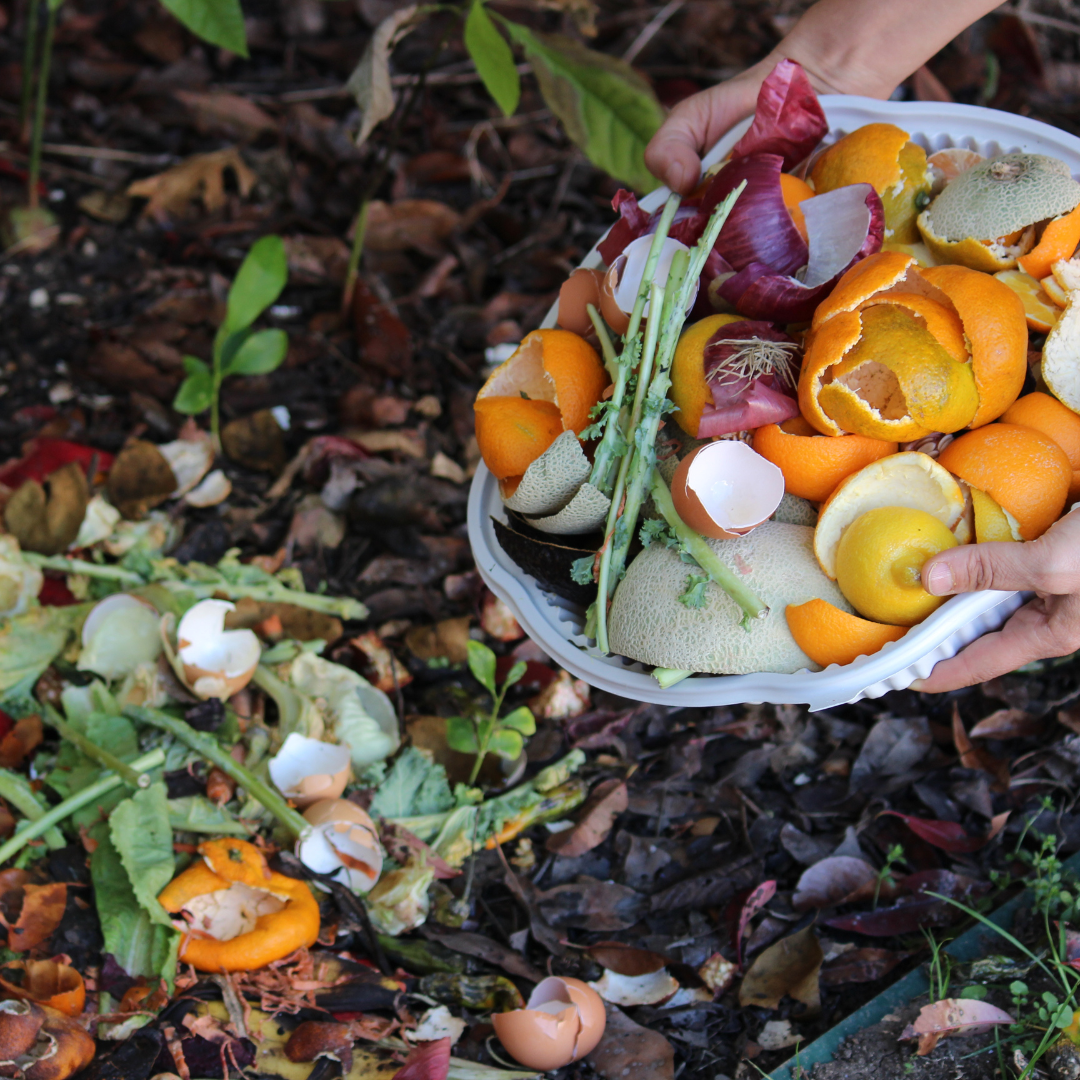 Tout ce qu'il faut savoir sur le compost