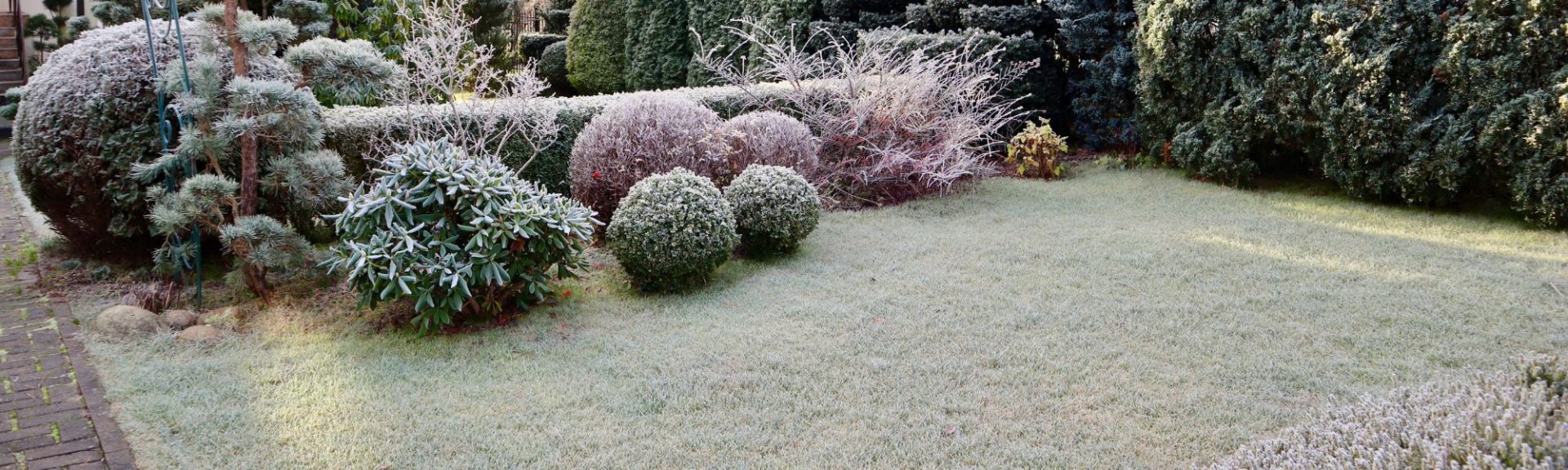 Jardiner quand il fait froid petits travaux utiles