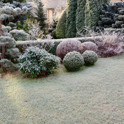 Jardiner quand il fait froid