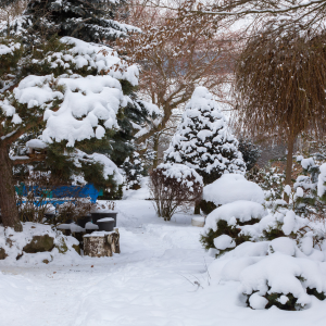Premières actions anti-froid