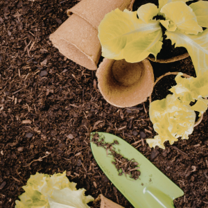 Isolation thermique du sol