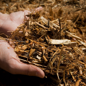 Favorise la vie microbienne et nourrit le sol