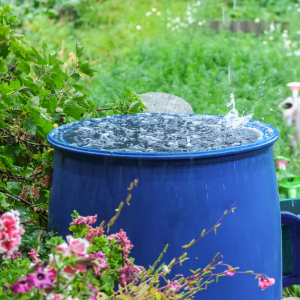 Récupération d'eau de pluie