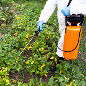 Banissement des produits phytosanitaires