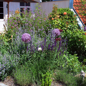 Comment adopter la tendance jardin sauvage ?