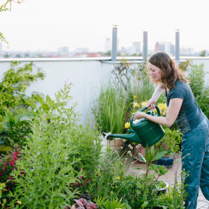 La définition de micro-jardin