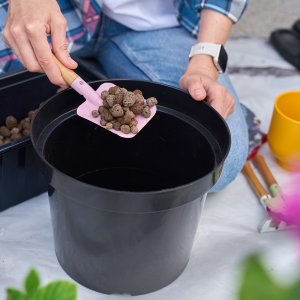 Evaluer le drainage des plantes
