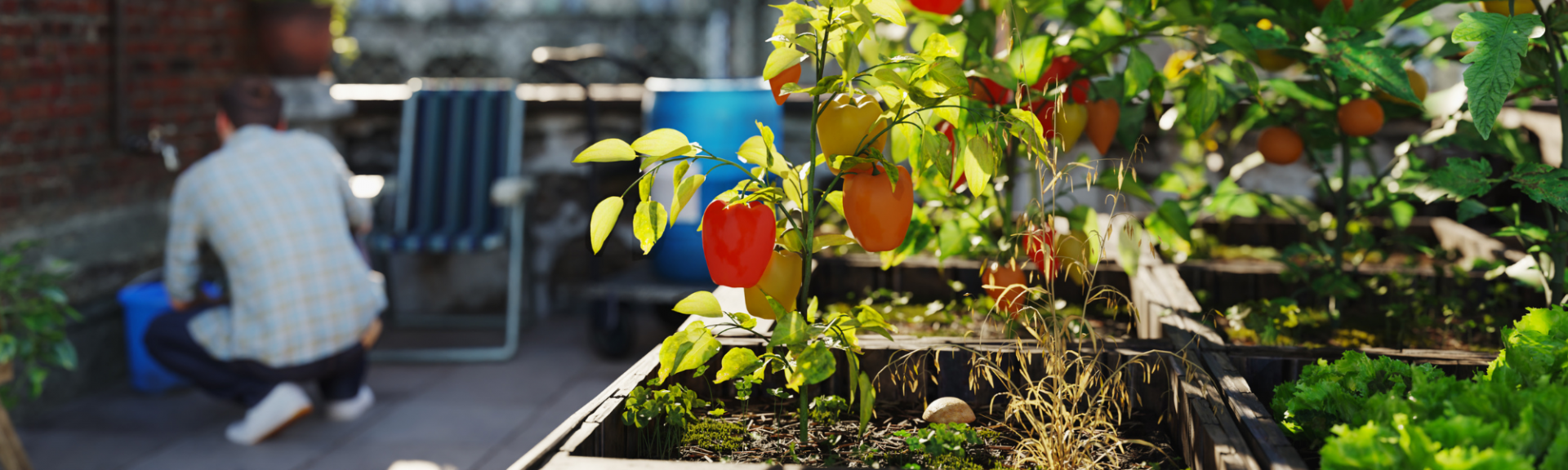 Micro-jardin dans les grandes villes
