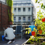 Micro-jardin dans les grandes villes
