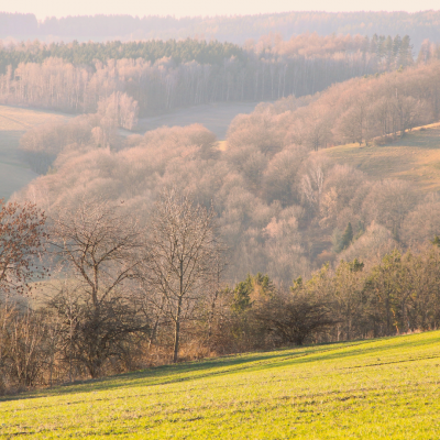 Pluie, gel, soleil, les caprices de mars
