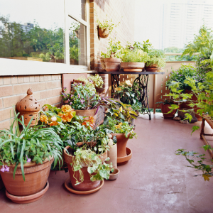 tiny garden sur balcon