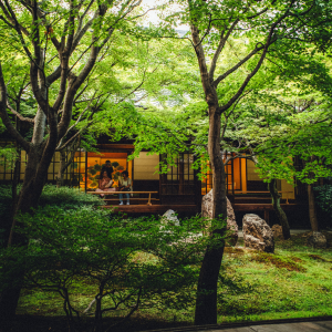 petit patio japonais tsubo niwa